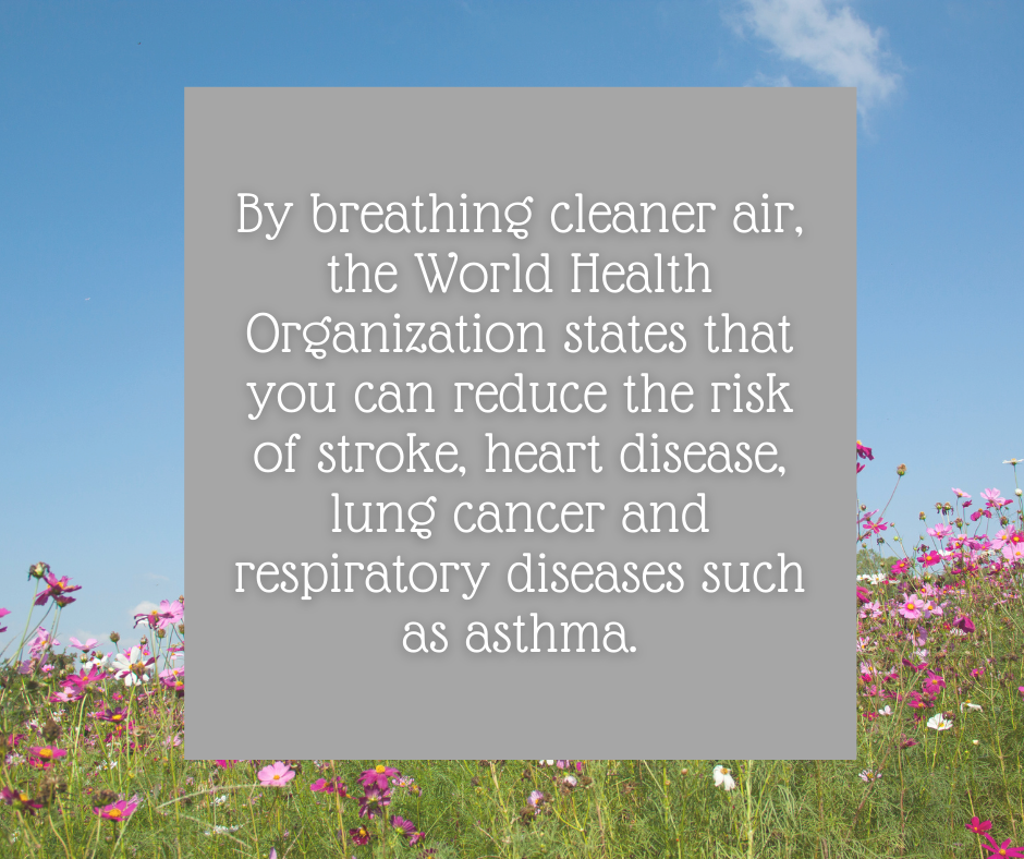 The Importance of Breathing Cleaning Air!